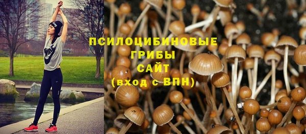 прущая мука Алзамай