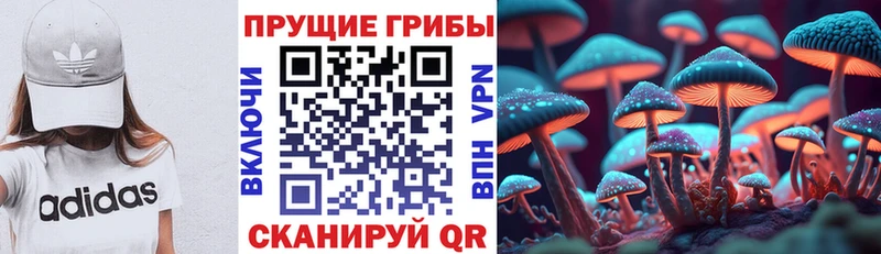 mega сайт  Бахчисарай  Псилоцибиновые грибы Cubensis  купить наркоту 