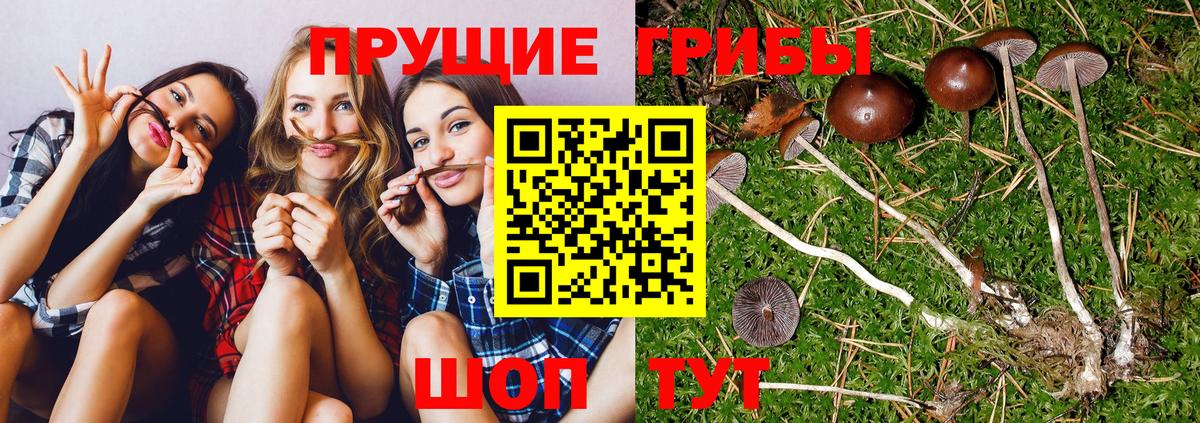 Псилоцибиновые грибы мухоморы Бахчисарай