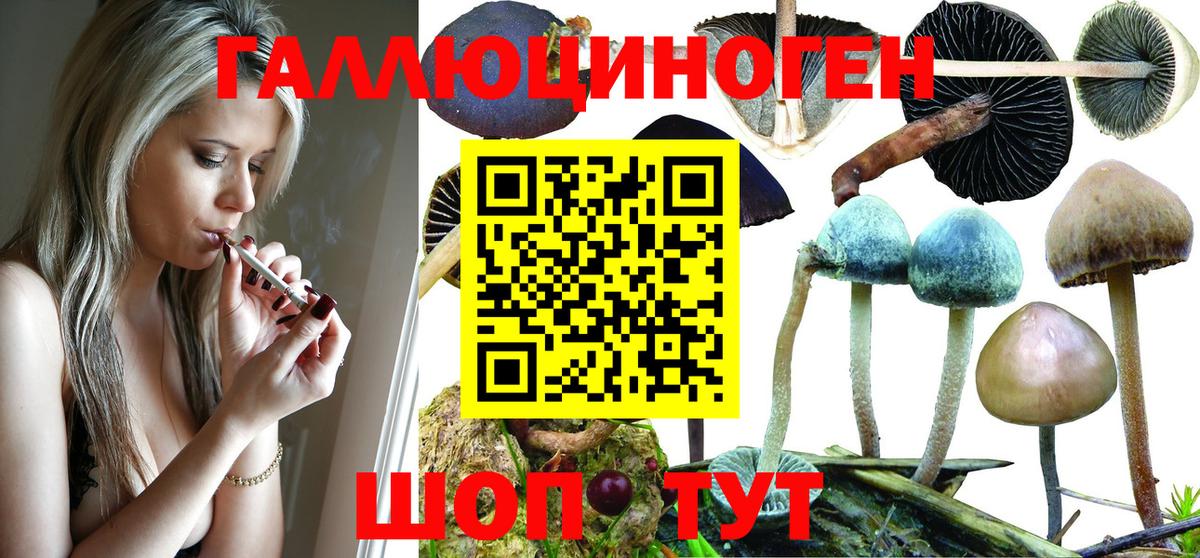 Бахчисарай  Псилоцибиновые грибы мицелий  Псилоцибиновые грибы MAGIC MUSHROOMS  Вход с VPN 